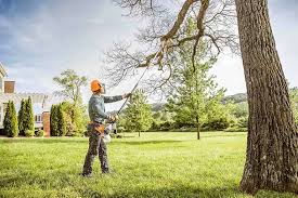 Best Storm Damage Tree Cleanup  in Rockdale, IL